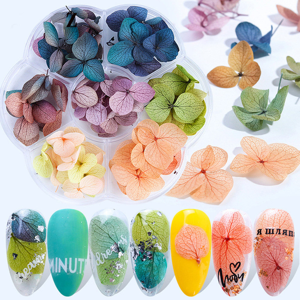 Art Craft Using Leaves - 50 piezas de hojas de arce