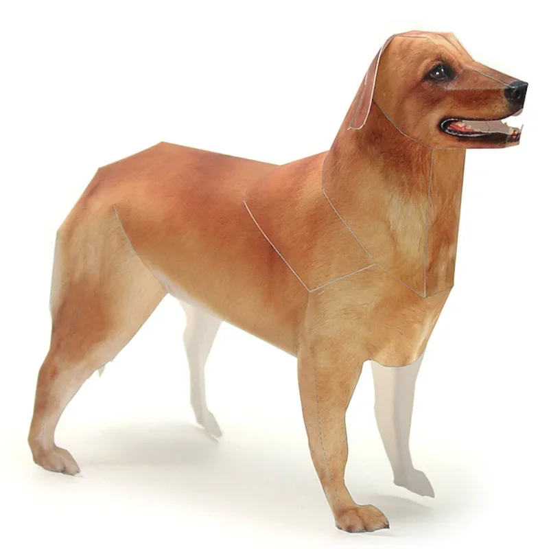 Art Craft Cardboard - Modelo de papel de perro Golden