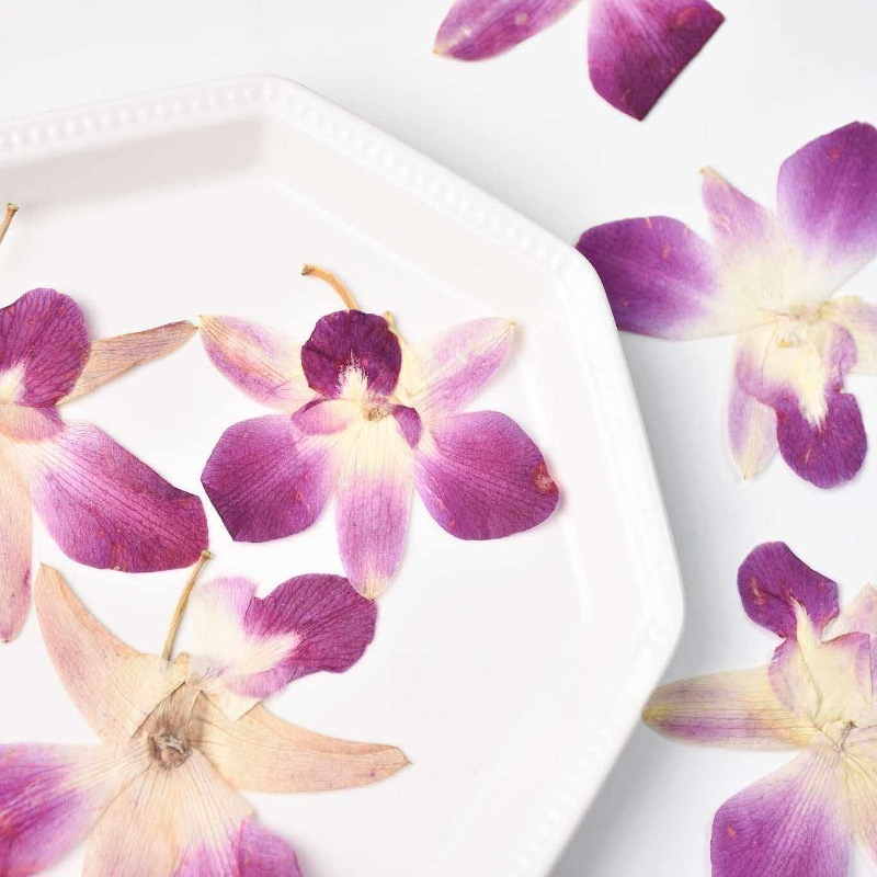 4 piezas, Flores de Orquídea M - Art Craft Butterfly reseña y precio