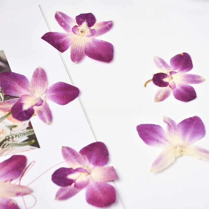 4 piezas, Flores de Orquídea M - Art Craft Butterfly reseña y precio