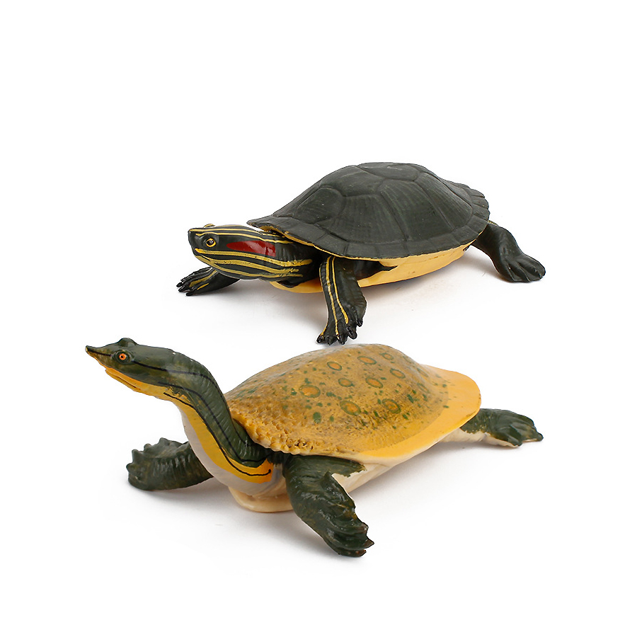 Simulación de Softshell chino, - Chinese Art Craft reseña y precio