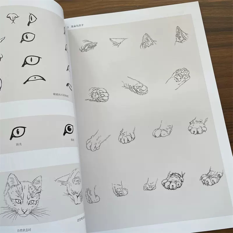 8K chino Gongbi Animal gato pi - Chinese Art Craft reseña y precio