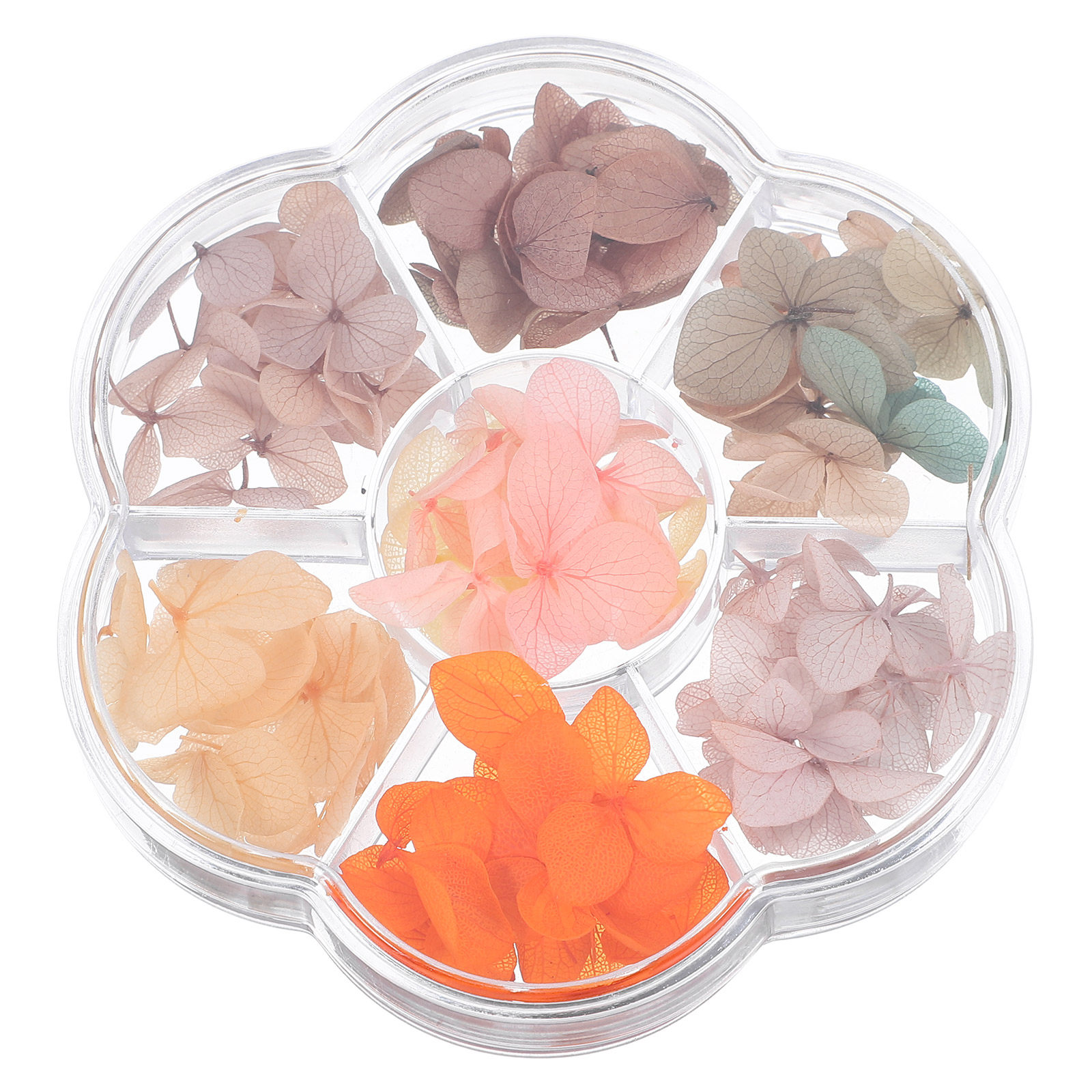 50 piezas de hojas de arce sec - Art Craft Using Leaves reseña y precio