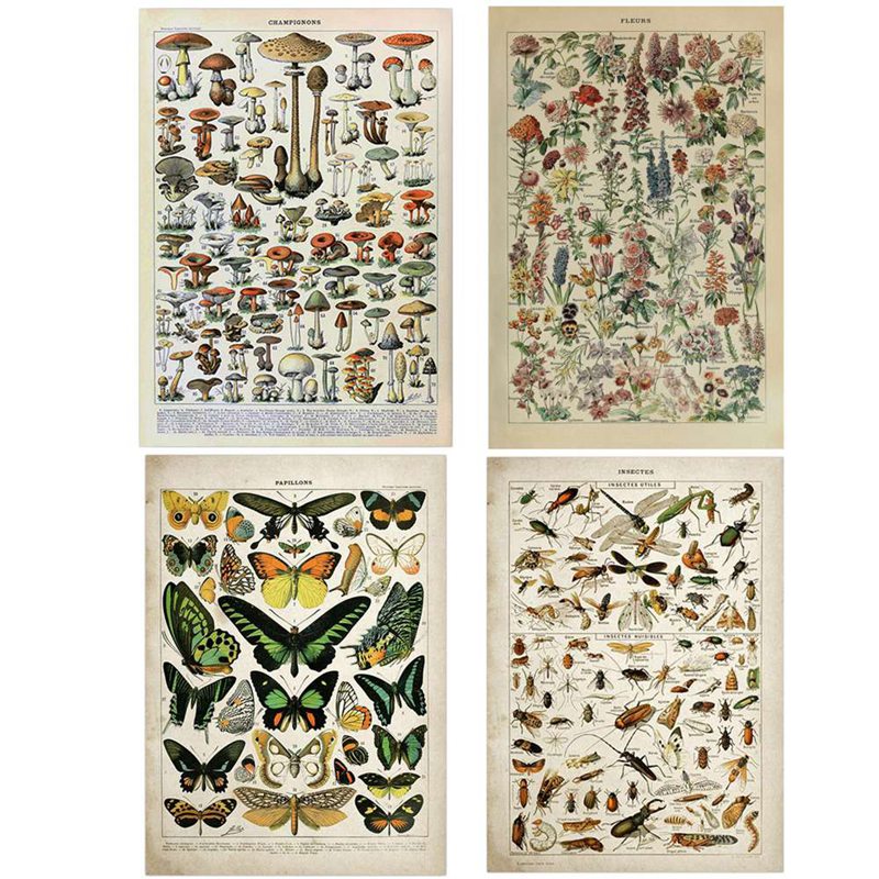 Pintura en lienzo vintage de A - Art Craft Butterfly reseña y precio
