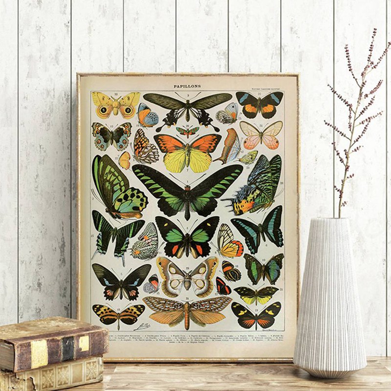 Pintura en lienzo vintage de A - Art Craft Butterfly reseña y precio