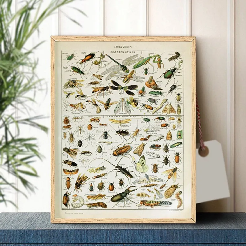 Pintura en lienzo vintage de A - Art Craft Butterfly reseña y precio